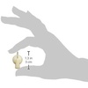Fender Chicken Head Amplifier Knobs, Cream(Cream)
