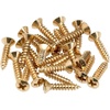 Fender Pickguard/Control Plate Mounting Screws – Gold
