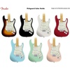 Fender 62 Stratocaster – (11 Hole) 3-Ply Pick Guard for 3 Single-Coil Pickups – White(Tortoise Shell)