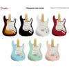 Fender Custom 69 Prewired Stratocaster Pickguard – Tortoise(White)
