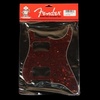 Fender Modern Pickguard, HH Stratocaster, 11-Hole – Tortoise Shell