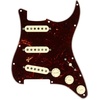 Fender Texas Special Prewired Stratocaster Pickguard – Tortoise(Tortoise)