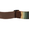 Fender Sonoran Guitar Strap, 2in, Sedona(Saguaro)