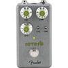 Fender Hammertone Space Delay Pedal, Guitar Accessories(Reverb)