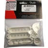 Fender Pure Vintage 50s Stratocaster Accessory Kit, Eggshell(Stratocaster Accessory)