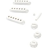 Fender Pure Vintage 50s Stratocaster Accessory Kit, Eggshell(Stratocaster Accessory)