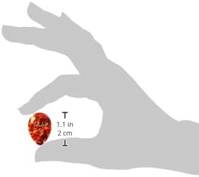 image:imageFender Classic Celluloid Guitar Picks 358 Shape Guitar Accessories Tortoise Shell Medium 12PackShell