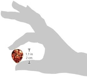image:imageFender Classic Celluloid Guitar Picks 358 Shape Guitar Accessories Tortoise Shell Medium 12PackTortoise Shell
