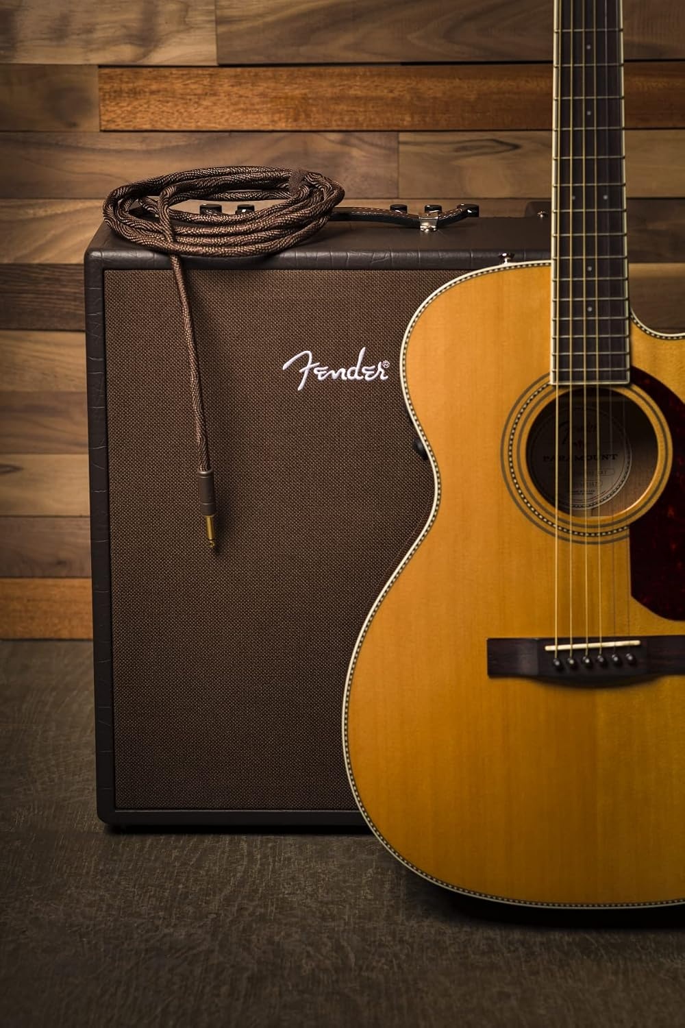 image:imageFender Paramount Acoustic Instrument Cable StraightStraight Brown 186ft10 feet