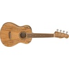 Fender Zuma Exotic Concert Ukulele, Spalted Maple