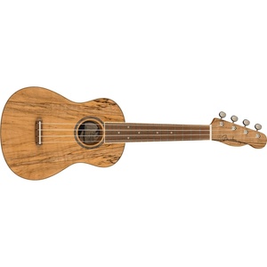 Fender Zuma Exotic Concert Ukulele, Spalted Maple